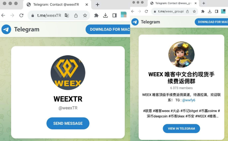 WEEX交易所诈欺？其实是这些仿冒网站打着WEEX旗号行骗